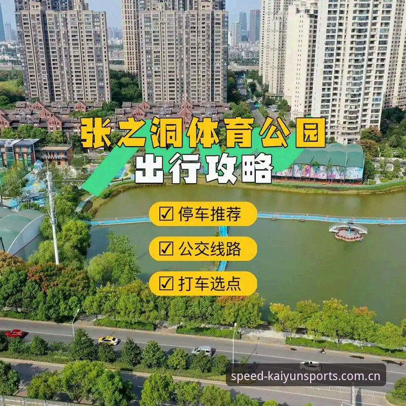 kaiyun体育新版本使用指南：从下载到体验的完整攻略